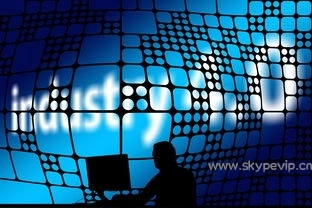 Skype下载新版本，这些功能你见过吗？，skype下载官方-Skype官网