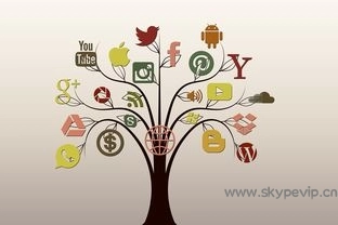 Skype手机应用与桌面版的使用差异，skype and-Skype官网