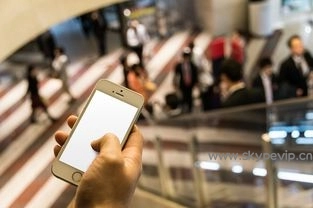 Skype支持语音留言，错过也不怕重要信息，skype怎么语音留言 ~ Skype官网-Skype官网